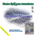 Musica Reiki para tratamientos - Flautas Marinas